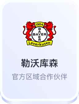 开云体育与勒沃库森足球俱乐部官方合作